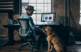 The symbiotic relationship between humans and dogs is undeniable. Shown here with a dog looking lovingly at a man, while the man lovingly pets his dog. The man is sitting in a chair infront of a desk, but has turned to his right to interact with the dog.