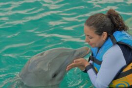 Human-animal interaction showing a woman in a lifevest gently holding the face of a dolphin while both are in the water.