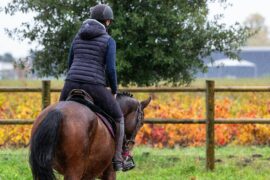 Animal therapy - specifically equine therapy - showing a person in a helmet and jacket riding a dark brown horse on grass.